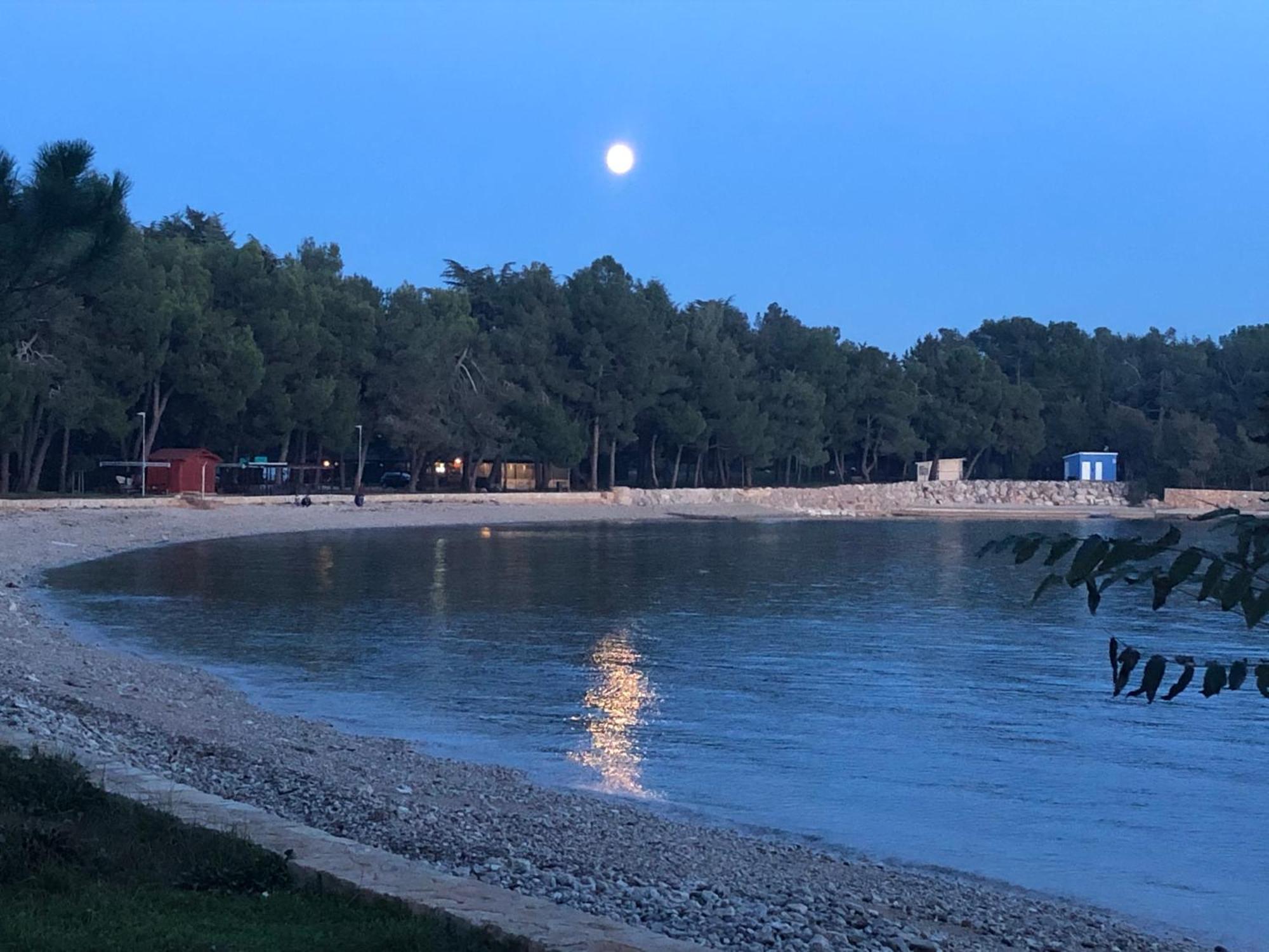 App Sorgo * Novigrad Istria