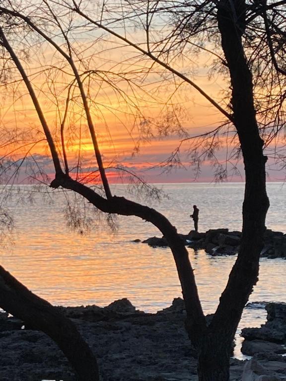 Apartament App Sorgo Novigrad (Istria)