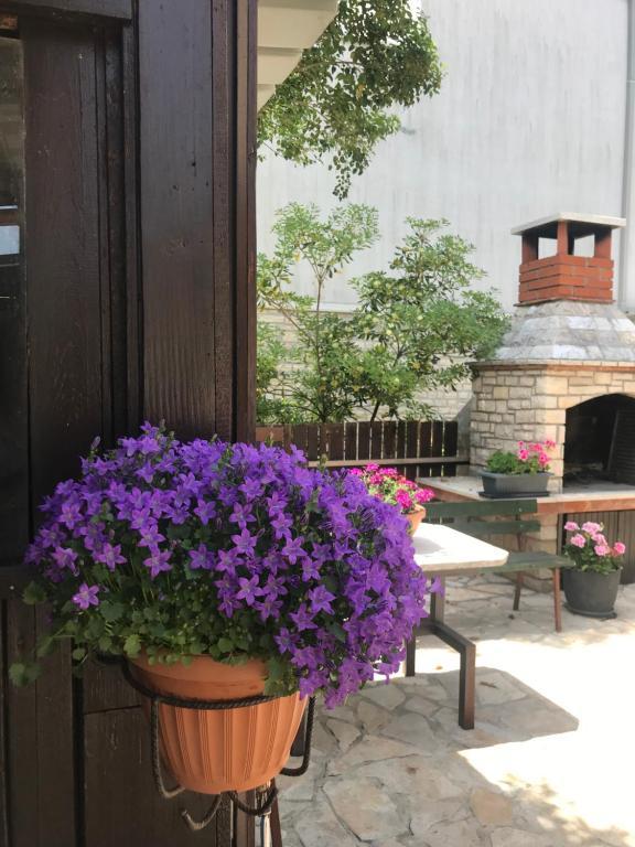 Apartament App Sorgo