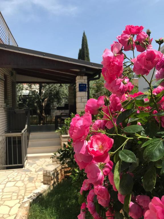 App Sorgo Apartment Novigrad Istria