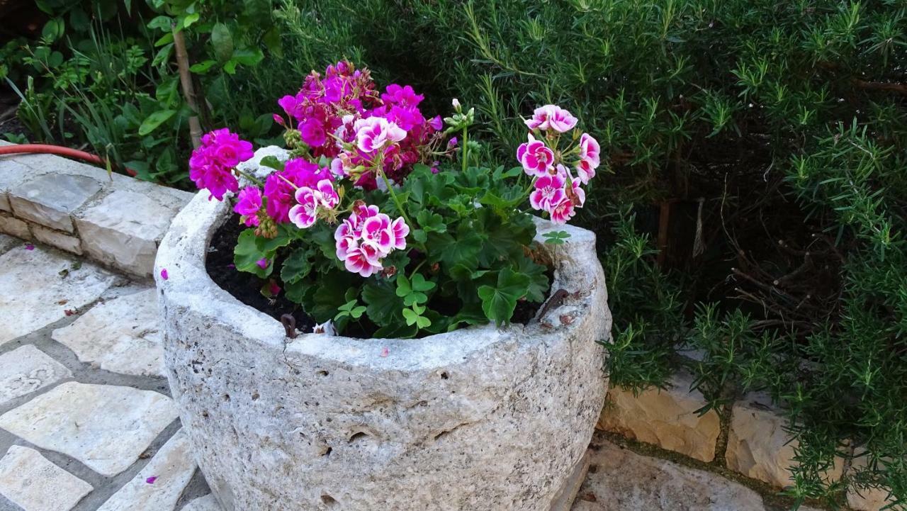 App Sorgo Apartment Novigrad Istria